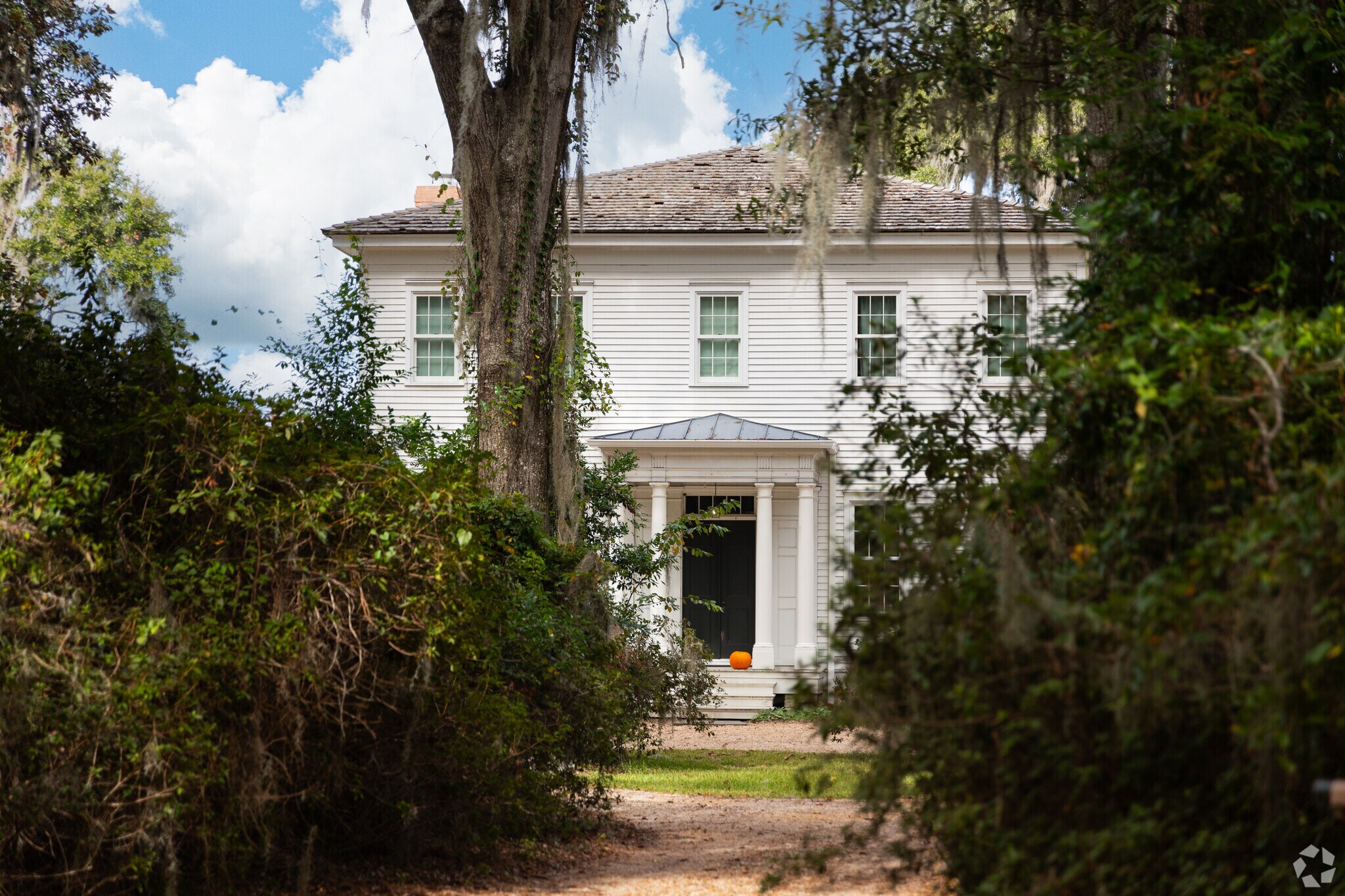 Homes in Vernonburg are situated behind canopies of trees.
