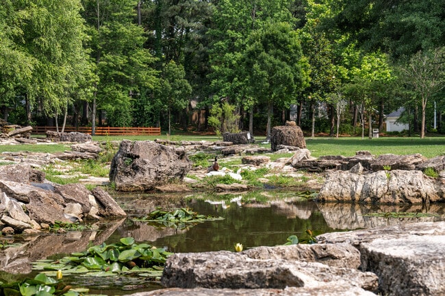 Brownsville is a rural community inundated with wildlife.