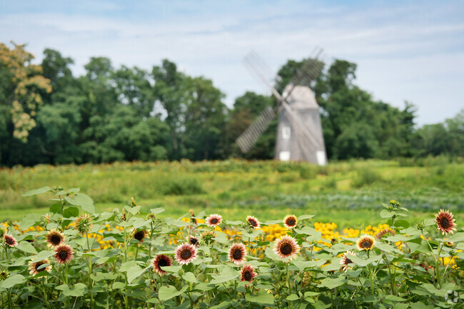 The stunning Sylvester Manor Educational Farm brings fresh food to Shelter Island.