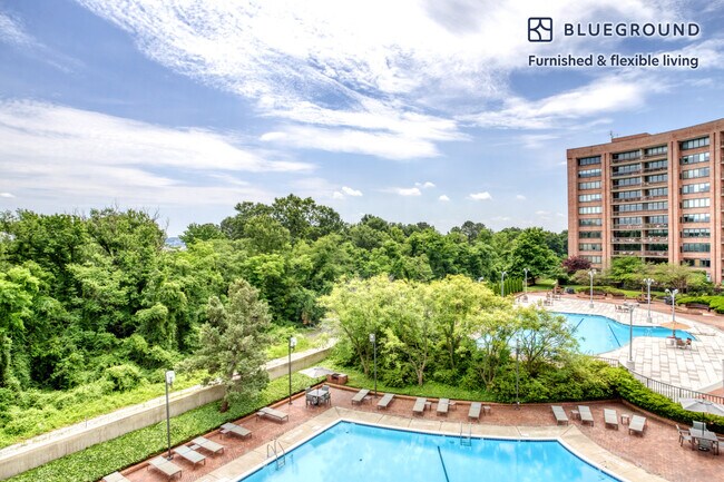 1801 Crystal Dr unit FL5-ID558, Arlington, VA 22202 - photo 5