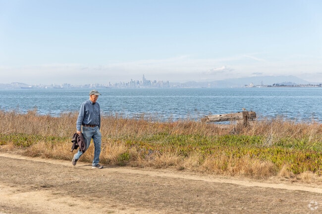 Shoreline Park in Bay Farm in Alameda has several nature trails for bird watching or walking.