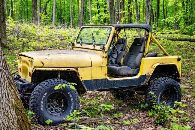 Many of Maple Grove's wooded residential lots are still partially rustic or undeveloped.