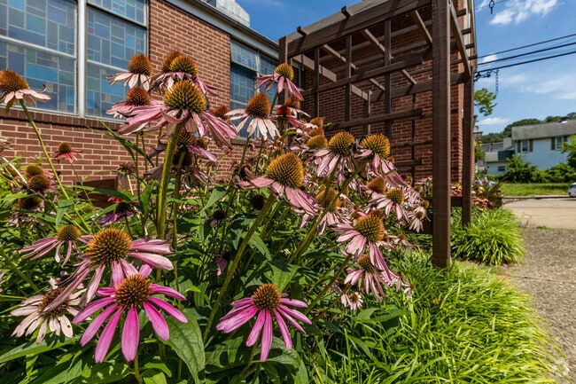 Residents take great pride in keeping East Carnegie looking great.