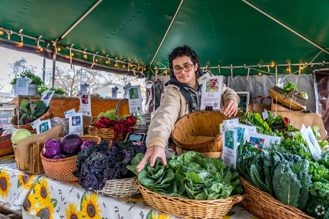 Soil Born Farms Saturday Open Air Market is open all year round in Mills Ranch.