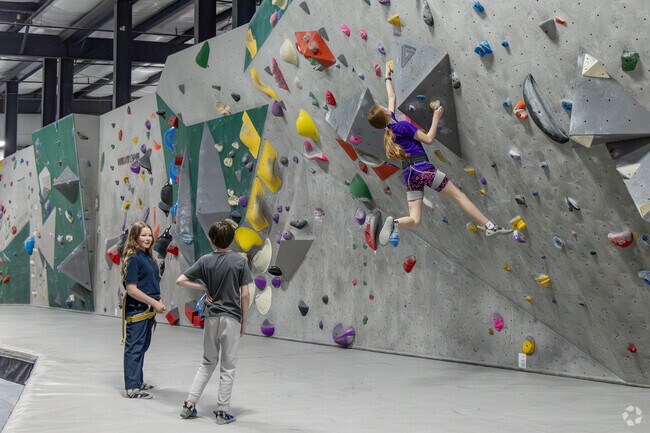 LEF Climbing in North Limestone offers climbing leagues and training for area youth.