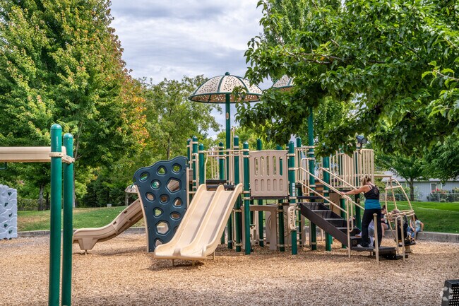 Families love the playground at Redwood Park.