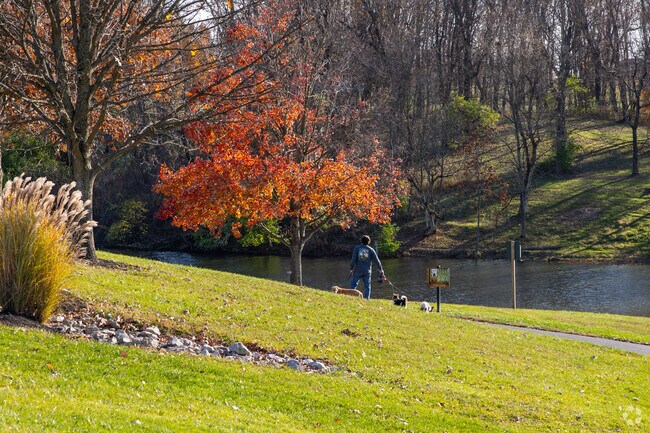 Take the pups for a scenic walk in Idlewild Park.