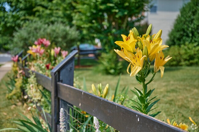 Homes in Sudley Springs often feature large lots and landscaped yards.