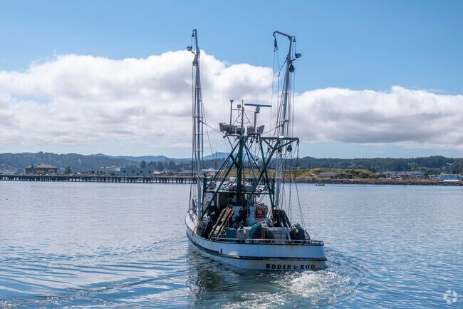 The marina serves as a hub for various water activities like fishing.