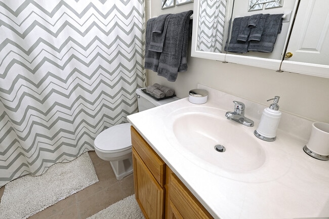 Bathroom with Vanity and Medicine Cabinet at Ashmore Trace