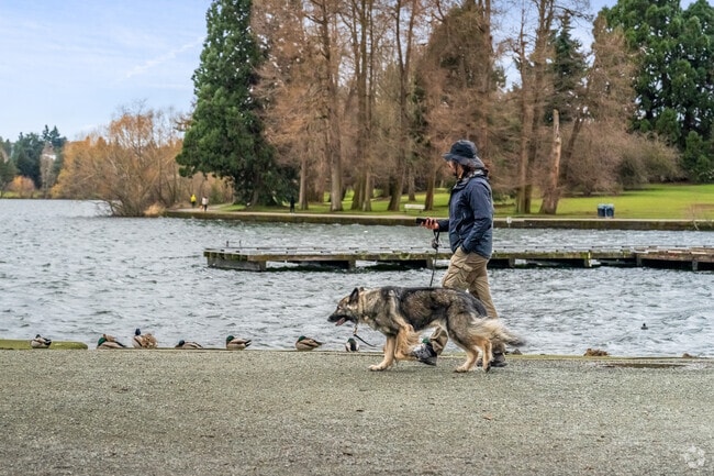 Green Lake locals and their dogs love early morning walks around the lake's 2.8 mile path.