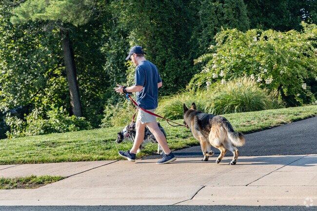 Residents enjoy walking their dogs on well kept side walks in the neighborhood of Ridge Street.