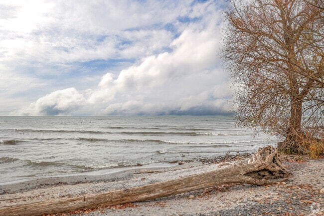Some parks in Vermilion, such as Sherod Park, have small quiet beaches where visitors can find sea glass.