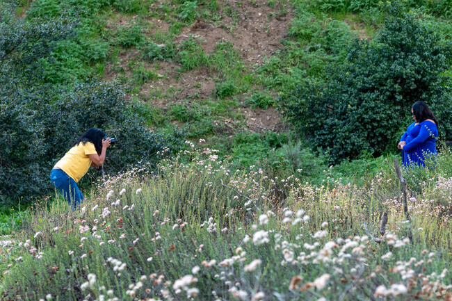 Looking to grab a cool photo stop by Eaton Canyon and check out the nature areas.