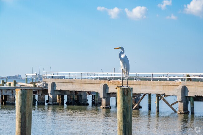Great egrets and other birds gather around the boat ramp at Jungle Prada de Navaez Park.