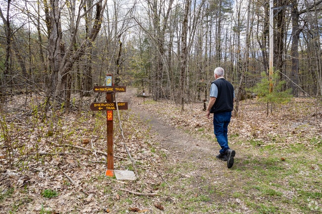 Sawer Mountain offers hiking opportunities in Limington.