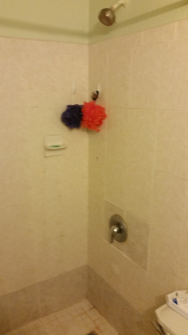 1990 W 56th St unit 1319, Hialeah, FL 33012 - photo 6