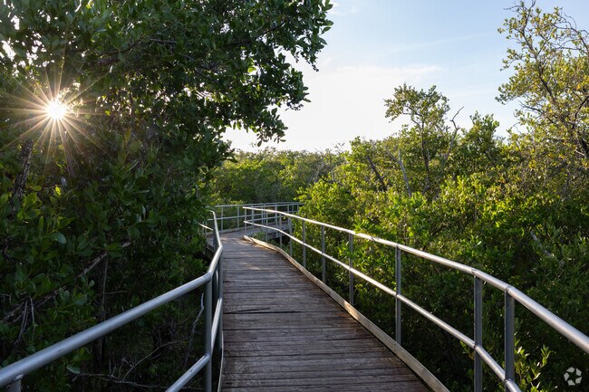 There are great hiking trails in the Zachary Taylor State Park that you can enjoy.