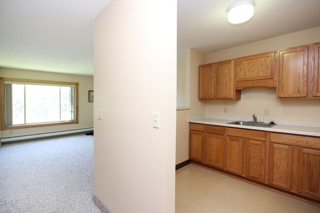 Northwood Commons, Baudette, MN 56623 - photo 3