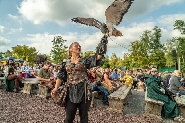 A falcon takes the prey from a falconer's glove at the Renaissance Faire near West Cornwall.