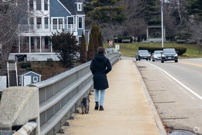A pedestrian takes her dog for a walk on Badgers Island.