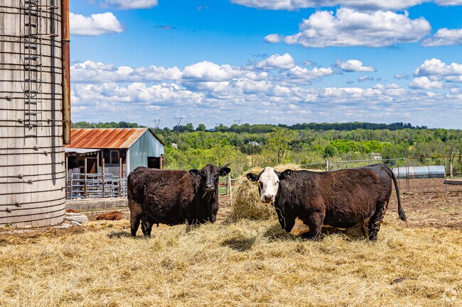 West Amwell is rich in preserved farmland and natural beauty, offering a rural lifestyle.