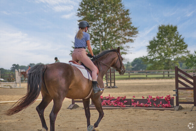 A horseback rider at Picturesque Farm in Fauquier County.