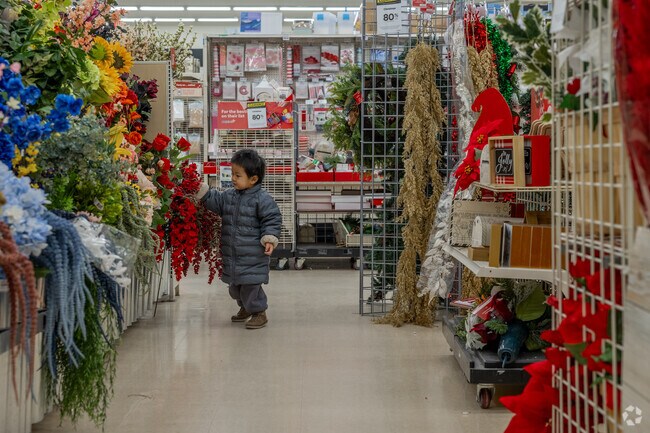 This little shopper looks for flowers at Michaels in North Weymouth.