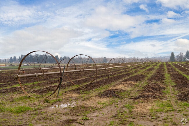 Canby is surrounded by farmland and has a thriving agricultural industry.