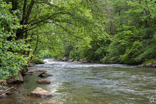 Blue Ridge is renowned for its exceptional trout fishing along the scenic Toccoa River and boasts a vibrant local scene that's perfect for outdoor enthusiasts and nature lovers alike.