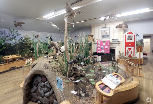 At Eagle Creek Park, birders have never been closer to Indiana's bald eagles and great blue herons.