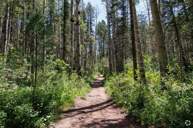 Residents of Sierra Del Norte have great opportunities to get lost in all of the natural beauty.