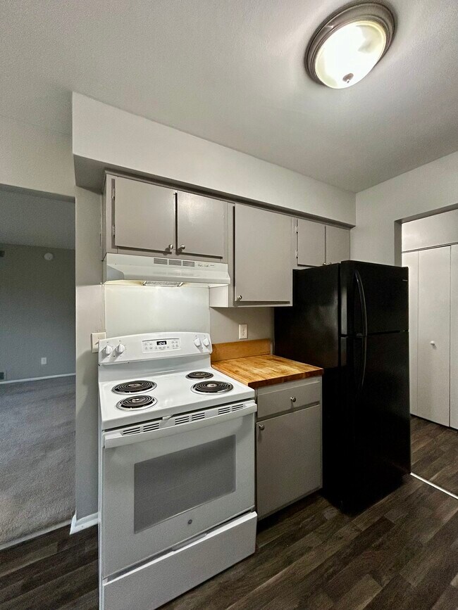 Old Goddard Apartments, Allen Park, MI 48101 - photo 5