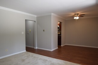 1425 Ashland Ave Unit 1Bed.1Bath, Des Plaines, IL 60016