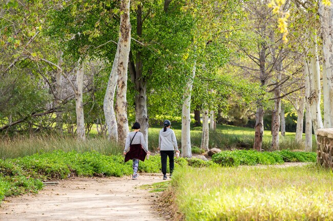Residents enjoy walking on Jeffrey Open Space trails with many trees.