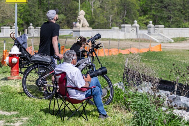 In Green Oaks, wildlife photographers flock to the James River to capture eagles, herons, and the river’s quiet beauty.