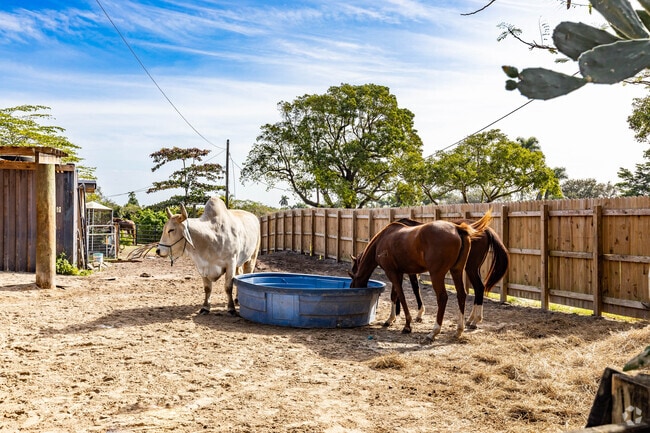 Small farms are a staple in Davie near Playland Village.