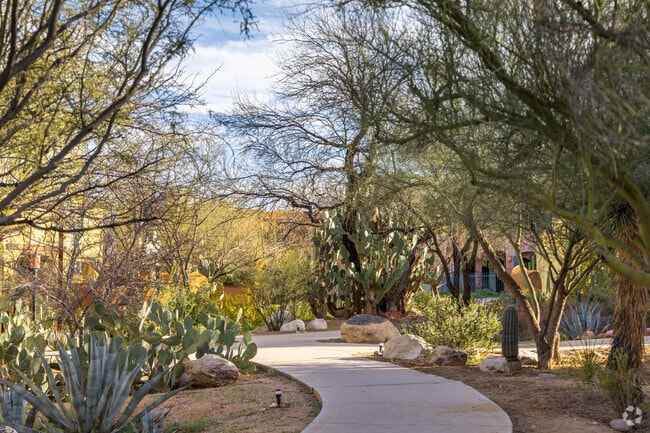 Lush desert landscaping surrounds the neighborhoods.