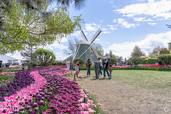 For family fun, Lakewood residents head to Roozengaarden Tulip Festival in Mount Vernon.