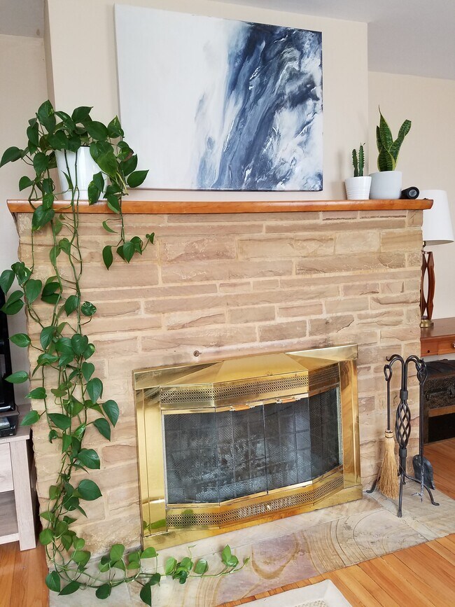 121 Grove Ave unit 1, Fox River Grove, IL 60021 - photo 3