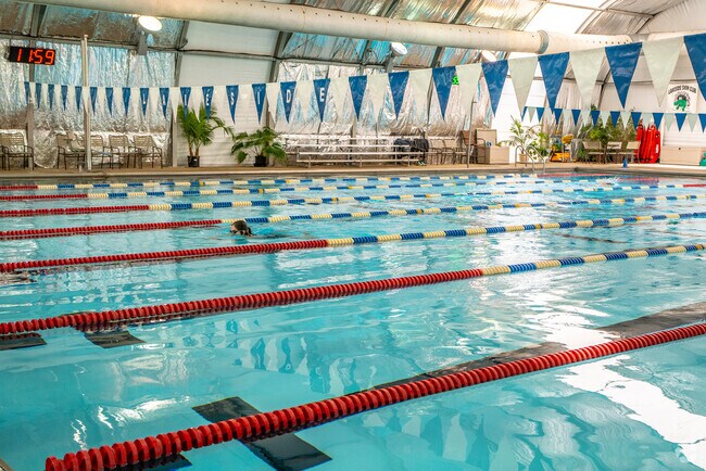 Lakeside Swim Club is one of the anchors of the Belknap neighborhood, producing past Olympians.