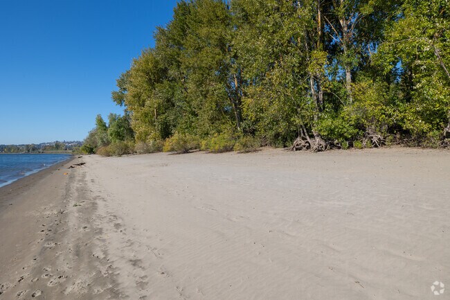 Cottonwood Beach is ideal for summertime activities in Washougal.