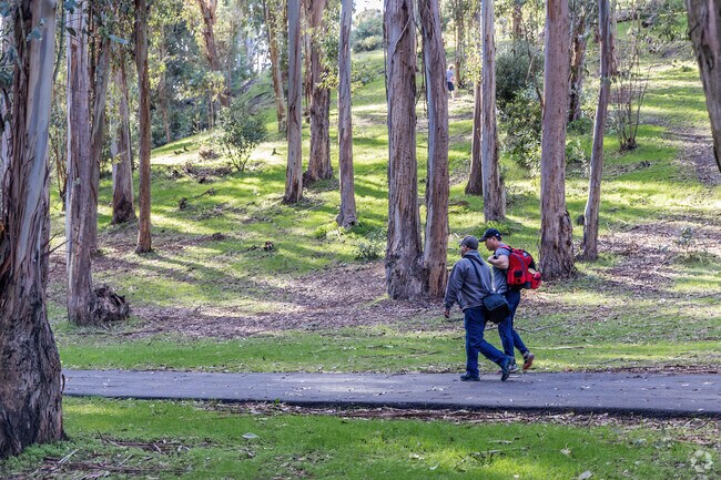 Hanns Park has a fun Disc Golf course in Hunter Ranch.