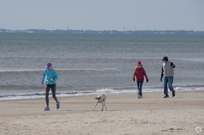 The beaches near Spanish Wells offer pristine sand and calm waters, ideal for relaxation.