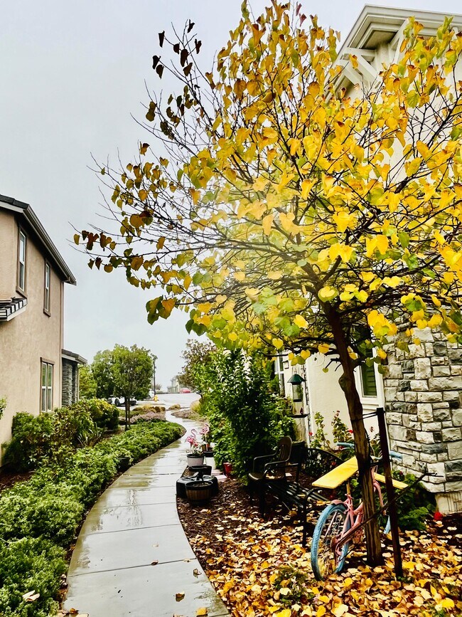 2617 Alliston Loop, Dublin, CA 94568 - photo 3