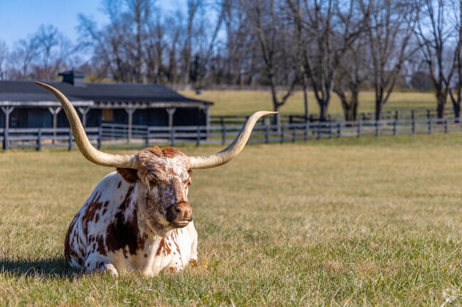 You'll find plenty of cattle on the farms throughout Keene-Dixon Town.