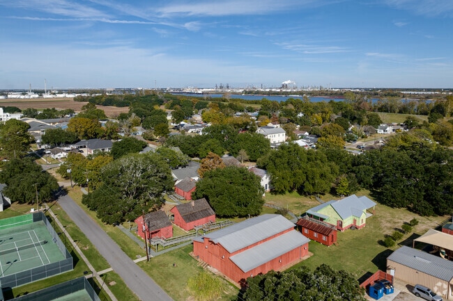 Old oak trees are speckled through the West Baton Rouge Parish area.