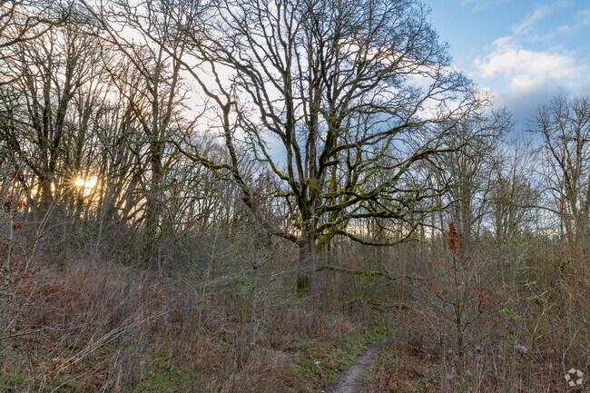 3-creeks Natural Area offers 89 acres of trails.