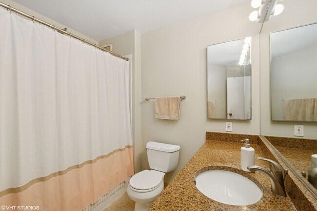 Streeterville Center Condos unit 3002, Chicago, IL 60611 - photo 6