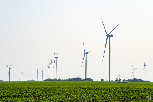 The Magic Valley Wind Farm is located near the city of Raymondville and consists of 112 Vestas 1.8 megawatt turbines providing power to the surrounding areas.